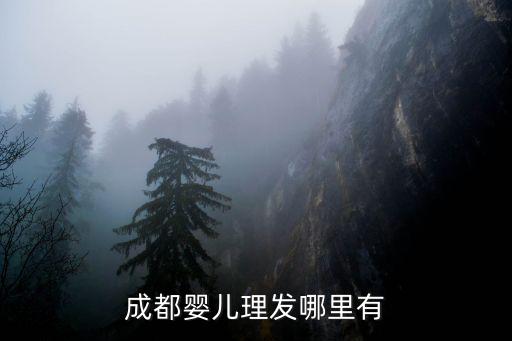 成都嬰兒理發(fā)哪里有