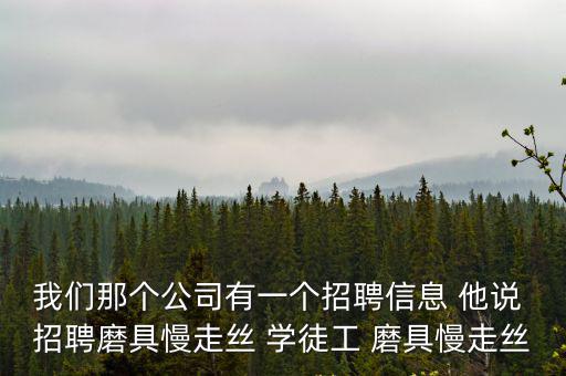 我們那個公司有一個招聘信息 他說 招聘磨具慢走絲 學徒工 磨具慢走絲