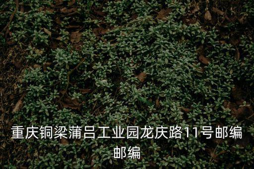 重慶市銅梁區萬健機械制造，請問重慶市銅梁縣哪里在賣縫紉機