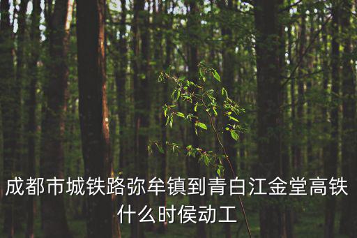 成都市城鐵路彌牟鎮(zhèn)到青白江金堂高鐵什么時(shí)侯動(dòng)工