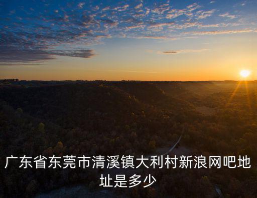 廣東省東莞市清溪鎮大利村新浪網吧地址是多少