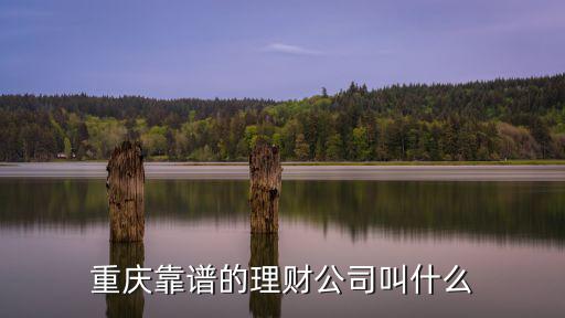 重慶靠譜的理財公司叫什么