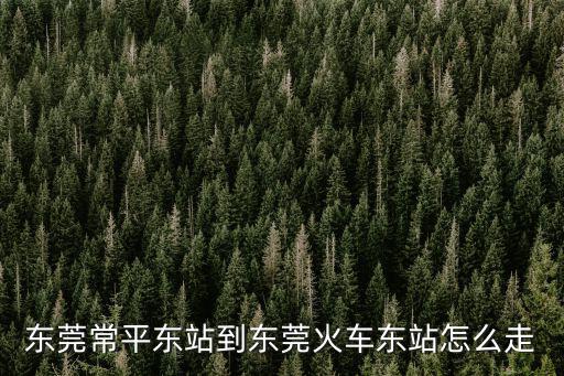 常平站怎么到東莞東火車站，東莞常平東站到東莞火車東站怎么走