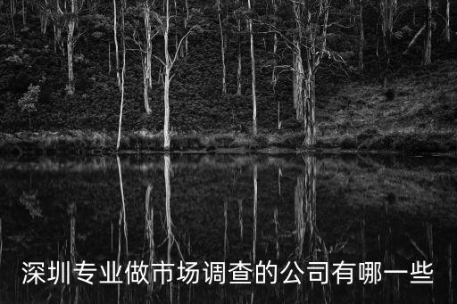 深圳 調(diào)查公司，深圳智誠商務(wù)調(diào)查有限公司是騙子公司請大家小心點(diǎn)