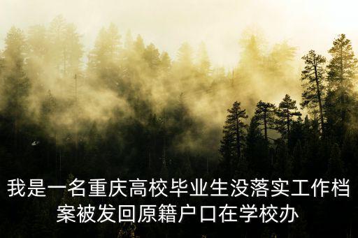 我是一名重慶高校畢業生沒落實工作檔案被發回原籍戶口在學校辦