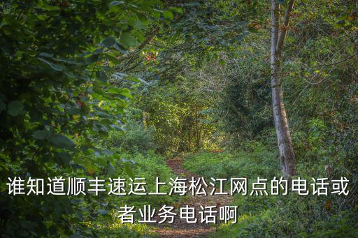 誰知道順豐速運上海松江網點的電話或者業務電話啊