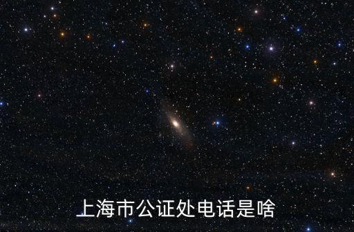 上海市公證處電話是啥