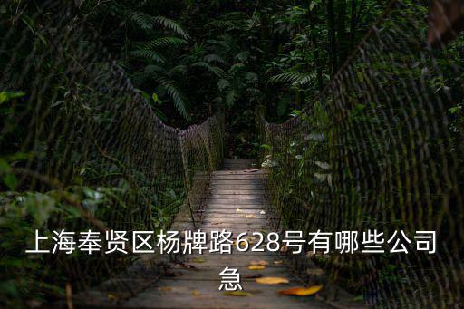 上海市康尼文具用品有限公司，上海松江區九亭鎮盛富19號是什么廠