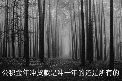 公積金年沖貸款是沖一年的還是所有的