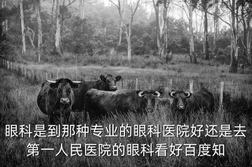 成都市第一人民醫院賴威課題，眼科是到那種專業的眼科醫院好還是去第一人民醫院的眼科看好百度知