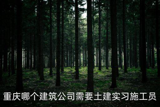 重慶哪個建筑公司需要土建實習施工員
