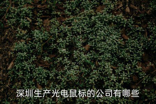 深圳生產(chǎn)光電鼠標(biāo)的公司有哪些