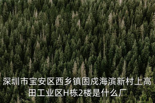 深圳市寶安區西鄉鎮固戍海濱新村上高田工業區H棟2樓是什么廠