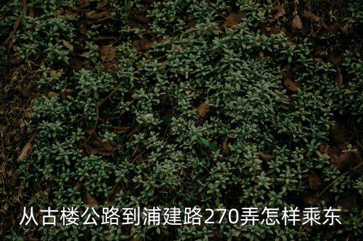 從古樓公路到浦建路270弄怎樣乘東