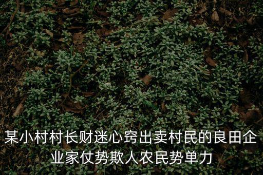 某小村村長財迷心竅出賣村民的良田企業家仗勢欺人農民勢單力