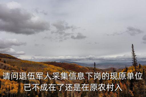 天津市下崗信息采集，大學生畢業信息采集在天津到什么地方采集