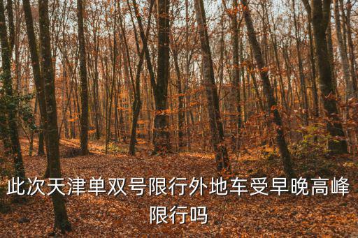 天津市外地車早晚高峰限行處罰，在天津外地車牌違反早晚高峰期罰款多少錢x