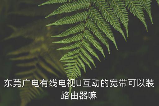 東莞廣電有線電視U互動的寬帶可以裝路由器嘛