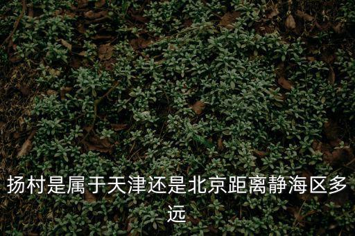 揚村是屬于天津還是北京距離靜海區多遠