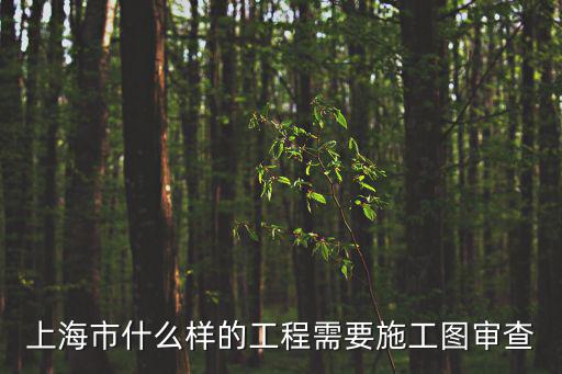 上海市什么樣的工程需要施工圖審查