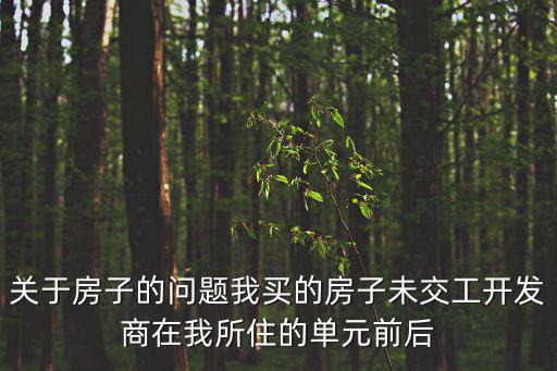 關(guān)于房子的問題我買的房子未交工開發(fā)商在我所住的單元前后