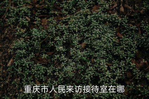 重慶市人民來訪接待室在哪