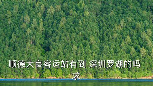 順德大良到深圳灣，在順德大良怎么搭車去深圳灣體育中心體育館求各路大神幫忙解答