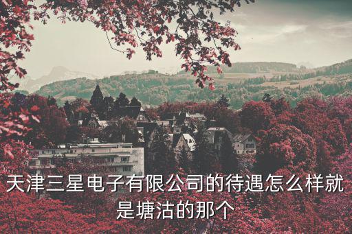 天津三星電子有限公司的待遇怎么樣就是塘沽的那個