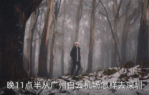 番禺賓館到深圳時刻表，晚11點半從廣州白云機場怎樣去深圳