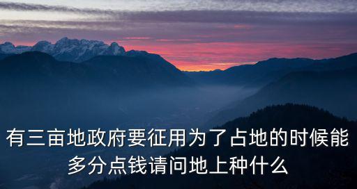 有三畝地政府要征用為了占地的時候能多分點錢請問地上種什么