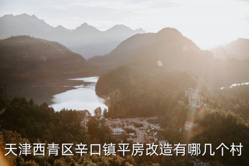 天津西青區辛口鎮平房改造有哪幾個村