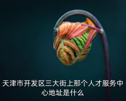 天津市開(kāi)發(fā)區(qū)三大街上那個(gè)人才服務(wù)中心地址是什么