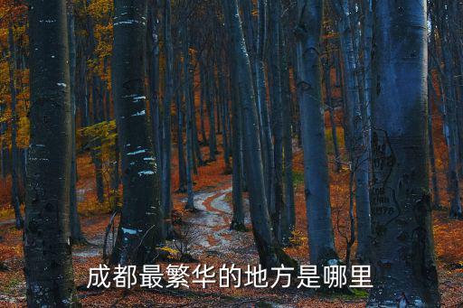 成都市區比較繁華的地方，成都的哪些區或街比較繁華