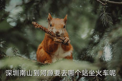 深圳南山到河源要去哪個站坐火車呢