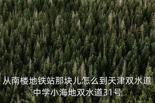 從南樓地鐵站那塊兒怎么到天津雙水道中學小海地雙水道31號
