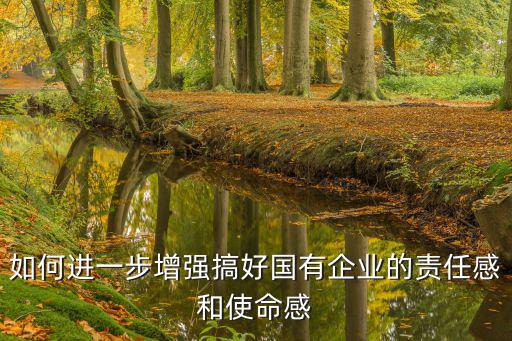 如何進一步增強搞好國有企業的責任感和使命感