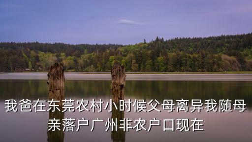 我爸在東莞農村小時候父母離異我隨母親落戶廣州非農戶口現在