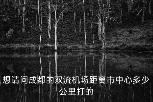想請問成都的雙流機場距離市中心多少公里打的