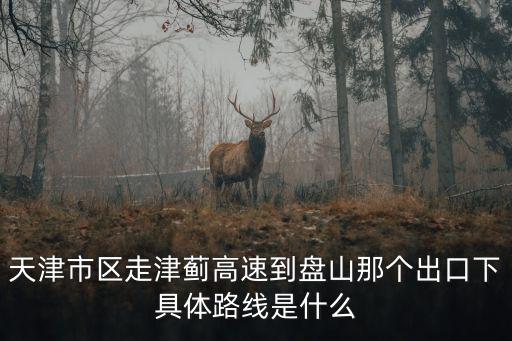 天津市區走津薊高速到盤山那個出口下具體路線是什么