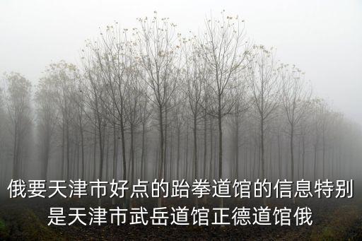 俄要天津市好點的跆拳道館的信息特別是天津市武岳道館正德道館俄