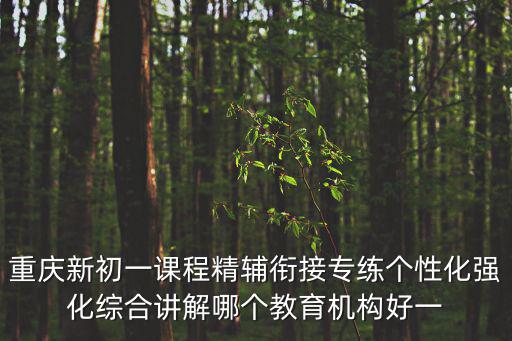 重慶新初一課程精輔銜接專練個性化強(qiáng)化綜合講解哪個教育機(jī)構(gòu)好一