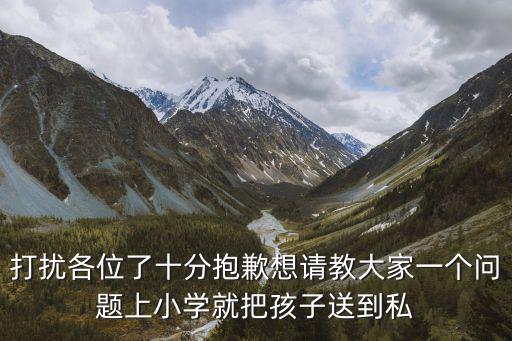 打擾各位了十分抱歉想請教大家一個問題上小學就把孩子送到私