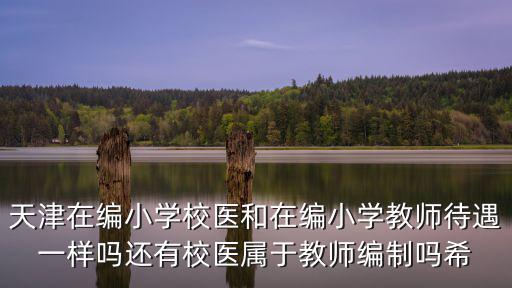 天津市新華中學校醫待遇，天津在編小學校醫和在編小學教師待遇一樣嗎還有校醫屬于教師編制嗎希
