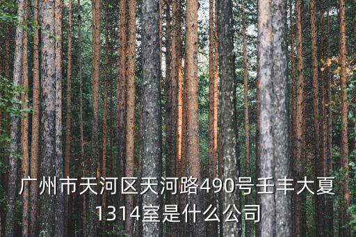 廣州市天河區天河路490號壬豐大夏1314室是什么公司