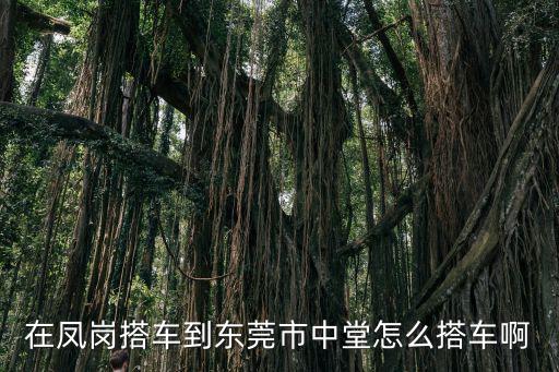 在鳳崗搭車到東莞市中堂怎么搭車啊