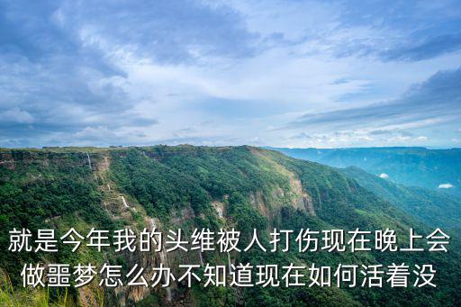 就是今年我的頭維被人打傷現在晚上會做噩夢怎么辦不知道現在如何活著沒