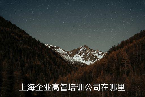 上海企業高管培訓公司在哪里