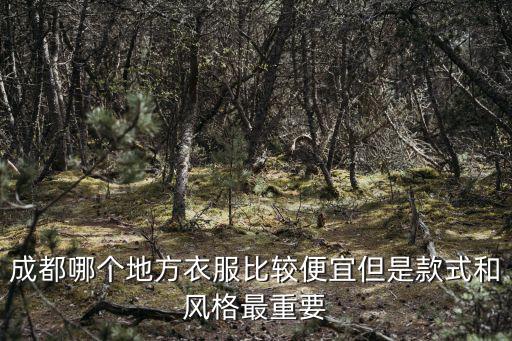 成都哪個地方衣服比較便宜但是款式和風(fēng)格最重要