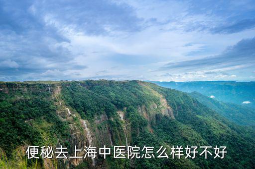 便秘去上海中醫(yī)院怎么樣好不好