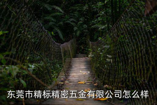 東莞精測精密五金設備有公司，精密五金廠